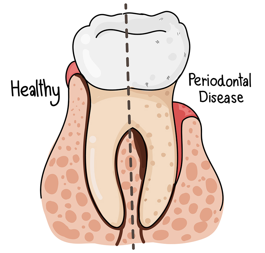 Teeth